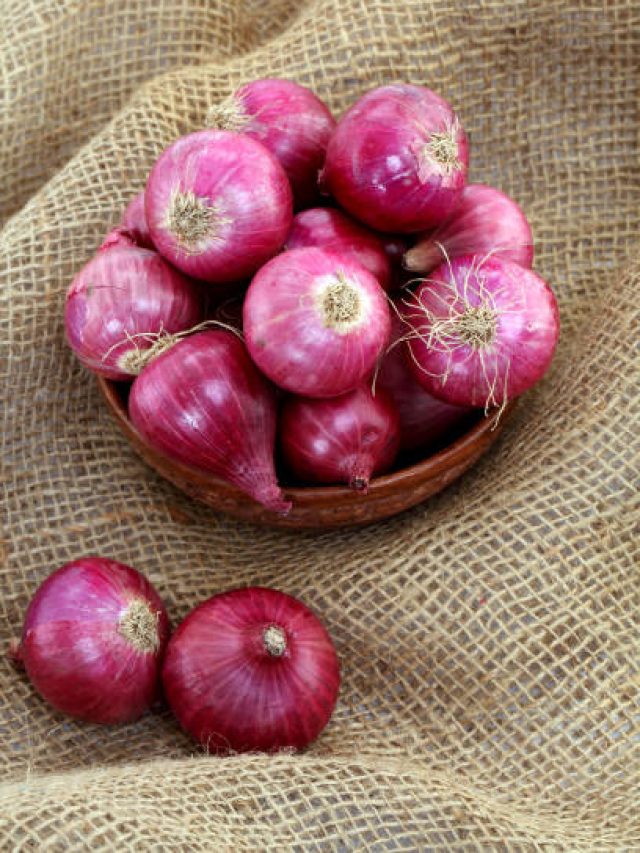 এক মাস পেঁয়াজ না খেলে শরীরের কী হয় জানেন?