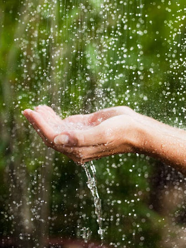 বৃষ্টির জলের এই প্রতিকার ভাগ্য বদলে দেবে, রাতারাতি ধনী হয়ে যাবেন