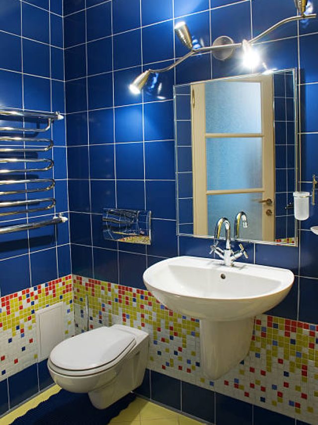 ভুলেও বাড়ির এই দিকে টয়লেট বানাবেন না, দারিদ্র-অশান্তি ঘিরে ধরবে