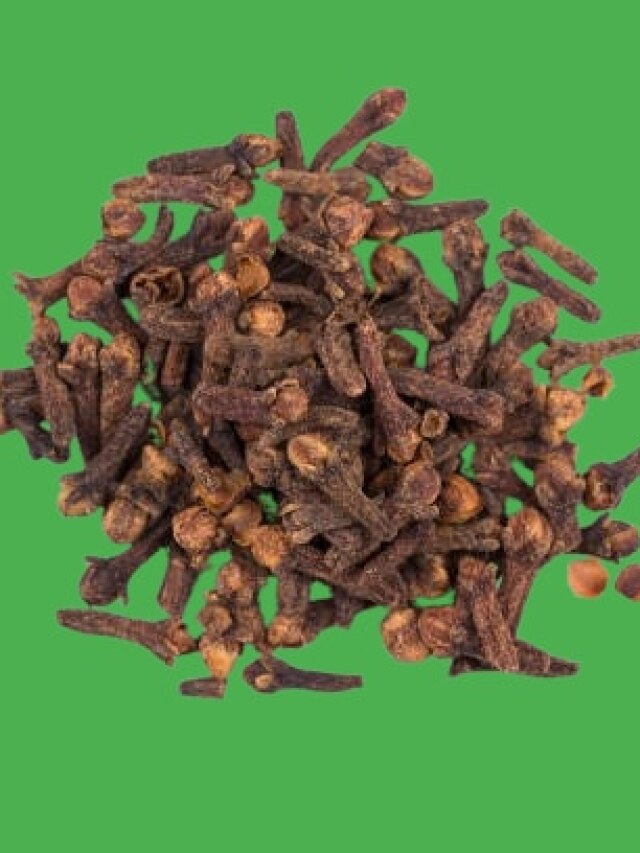 কেনার দরকারই নেই, বাড়ির ছাদেই হবে লবঙ্গ, রইল টিপস