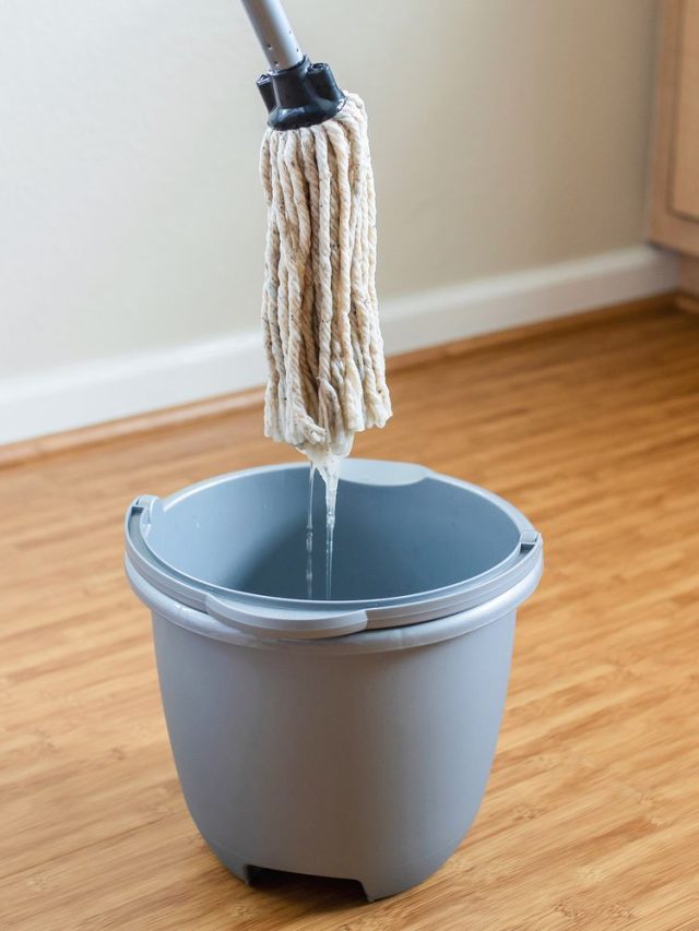 জলে ফেলুন এই সাদা জিনিস, তস্য ময়লা মেঝেও হবে ঝকঝকে