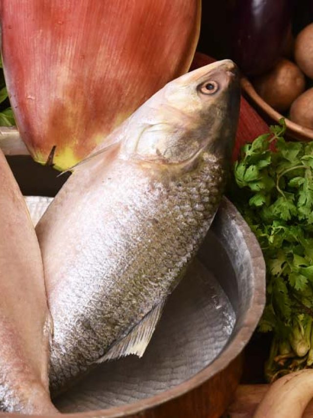 ইলিশ মাছে শুধু দিন এই ৩ মশলা, আর কিছু দিলেই স্বাদের দফারফা