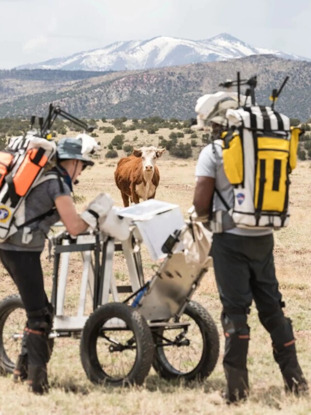 'Cow Surprise': NASA astronauts encounter unexpected guest during Lunar landing drills