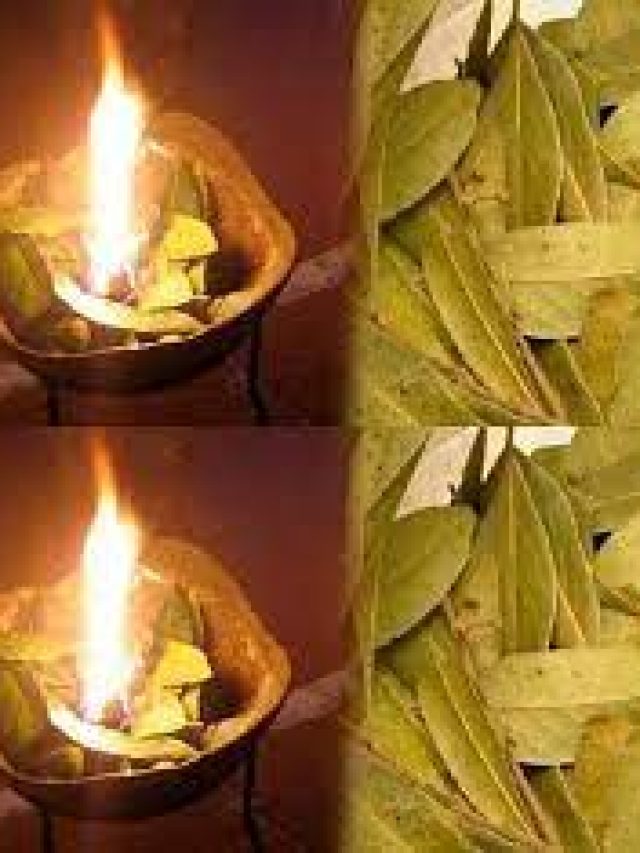 শত্রুদের পা চাটানোর তন্ত্র টোটকা, অমাবস্যায় পোড়ান রান্নাঘরের এই পাতা