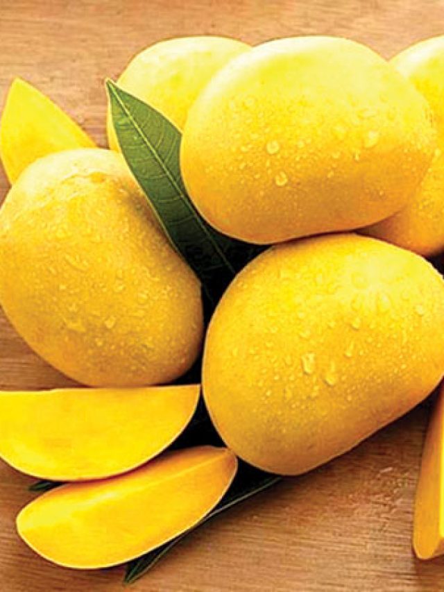 মুখে দিতেই স্বাদের বিস্ফোরণ, দামি এসব জাতের আম খেয়েছেন কখনো?