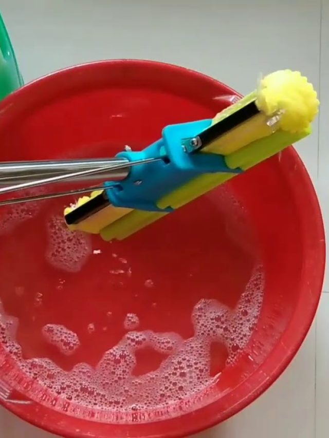 ঘর মোছার জলে মেশান এই জিনিস, বাড়ির চৌহদ্দিতে ঘেষবে না  পিঁপড়ে-আরশোলা