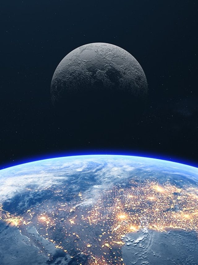  'Noah's Ark': Moon could save endangered species on Earth in future