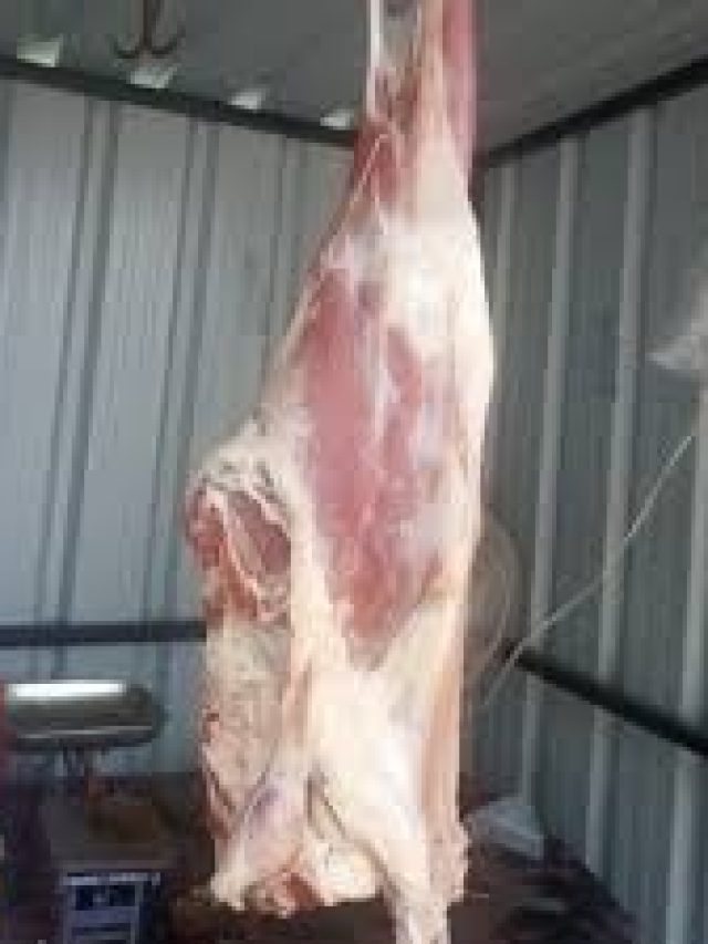 খাসির কোন জায়গার মাংসই সবচেয়ে নরম আর খেতে ভাল হয়? জেনে নিন