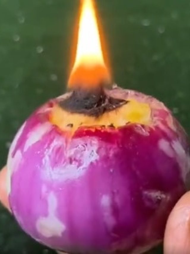 মশা পালানোর রাস্তা খুঁজবে নয়তো মরবে, পেঁয়াজে এই ট্যাবলেট ফেলে জ্বালিয়ে দেখুন