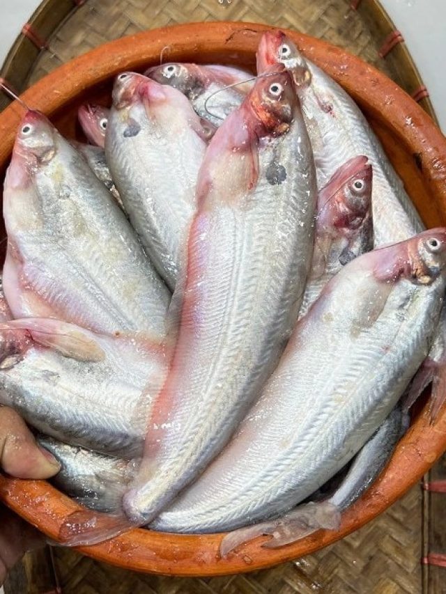 পাবদা মাছ ভাজতে গিয়ে ফাটে? ভাজার আগে গায়ে মাখান ঝাঁঝালো জিনিস