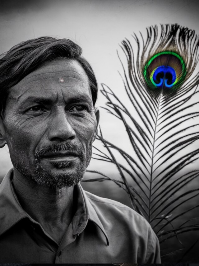 ভুলেও বাড়ির এই দিকে ময়ূরের পালক রাখবেন না, কাঙাল হয়ে যাবেন