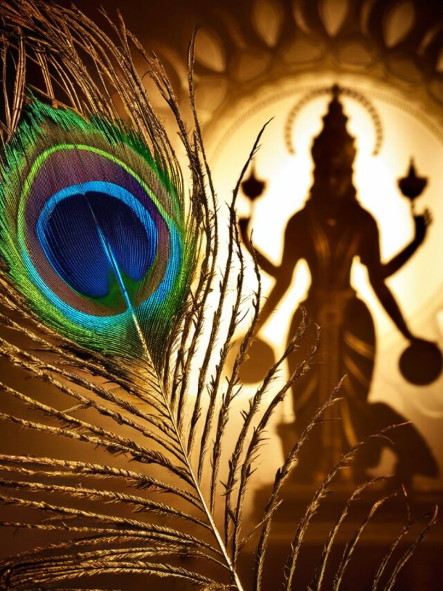 ঘরের এই দিকে রাখুন ময়ুর পালক, ফুলে ফেঁপে উঠবে ধনসম্পদ