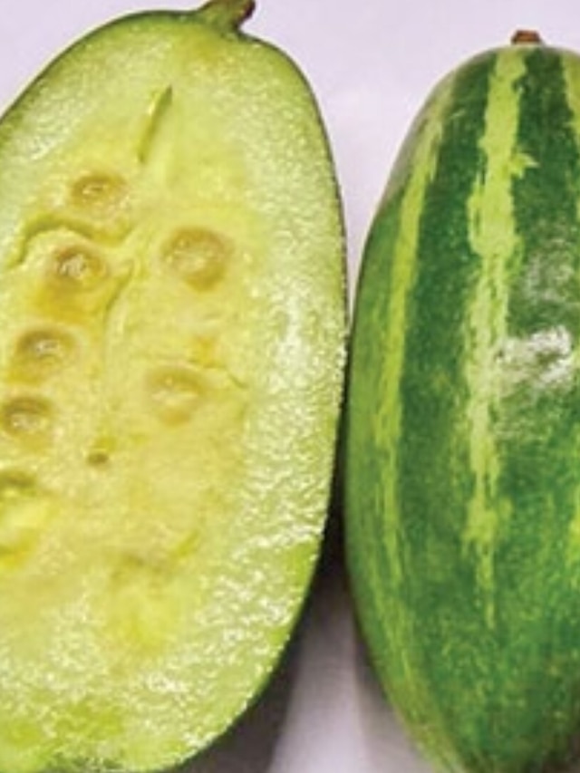 পেকে হলুদ হওয়া পটলের বীজ খাওয়া ভালো? জেনে খান