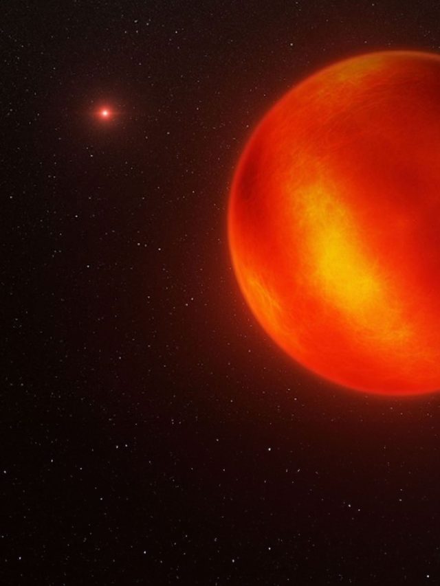 ‘Just 6.5 light-years away’: James Webb Telescope uncovers two failed stars battling sandstorms