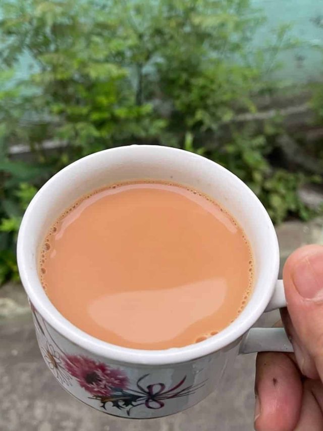 কড়া করে আদা চায়ে কখন চিনি দেবেন? টিপস দিলেন পাড়ার চা কাকু