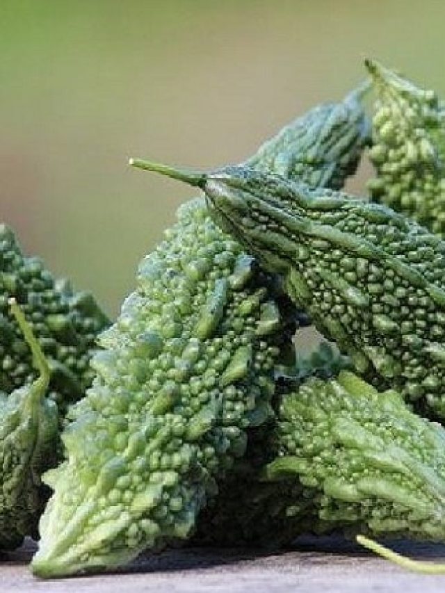 লাফিয়ে লাফিয়ে কমবে সুগার লেভেল, চটকে খেতে হবে উচ্ছে