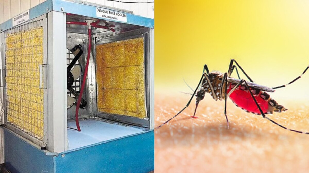 कूलर में कहीं पनप ना जाएं डेंगू के मच्छर, बारिश के मौसम में यूं करें सफाई