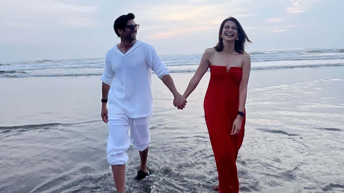 रोमांट‍िक वेकेशन पर कृति संग पुलकित, कभी सलमान की राखी सिस्टर संग रहा रिश्ता