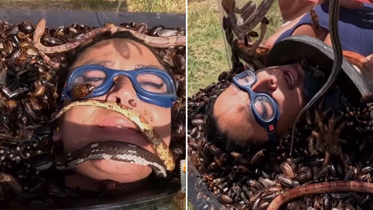 सांप-कीड़ों का कृष्णा पर हमला, रोहित शेट्टी को नहीं आया तरस, बोले- छोटी बच्ची हो क्या?