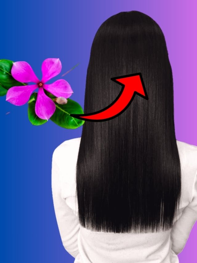 পাকা চুল হবে কুচকুচে কালো, আগাছার এই ফুলই করবে কামাল