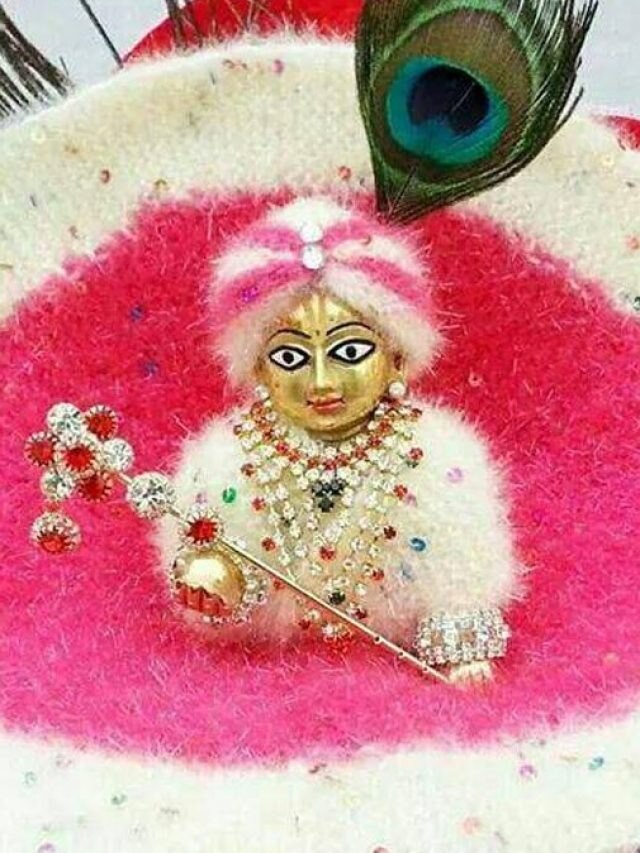 জন্মাষ্টমীতে ঘরে আনুন এই ৪ জিনিস, ভাগ্য ঘুরে যাবে