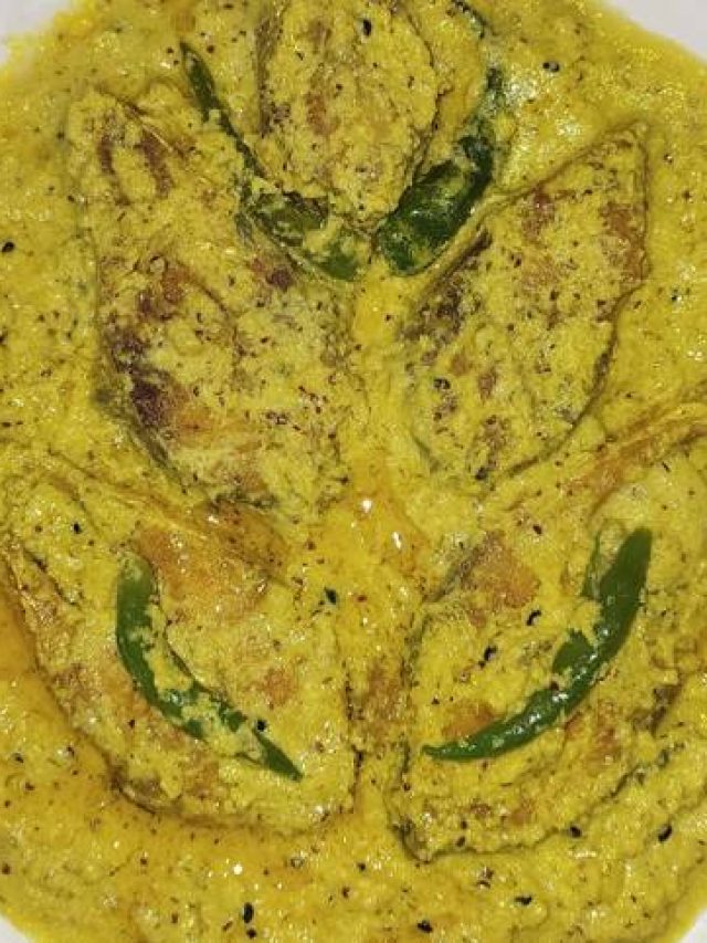 চিংড়ি নয়, এই বর্ষায় আপনার হেঁশেলে হোক ইলিশের মালাইকারি, নতুন রেসিপি