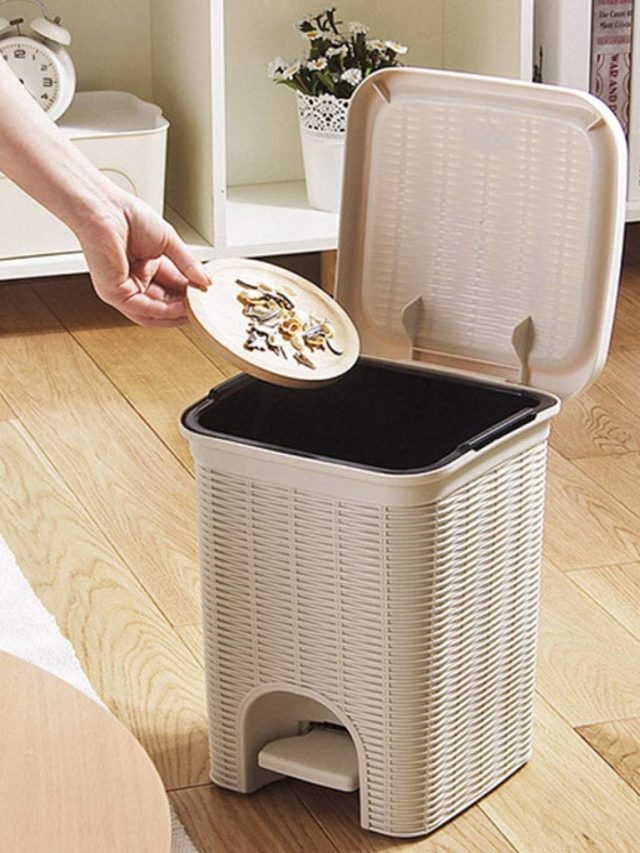 ভুল জায়গায় থাকা ডাস্টবিন আপনাকে গরিব করে, কোথায় রাখবেন?