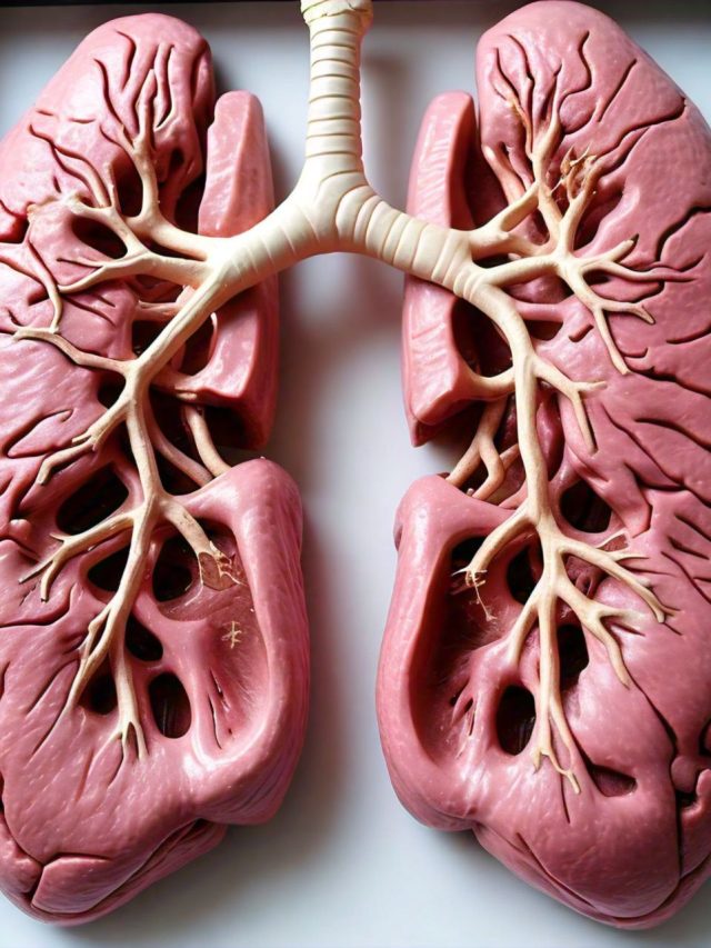 আপনার ফুসফুস কতটা সুস্থ? ঘরে বসেই এভাবে পরীক্ষা করে নিন