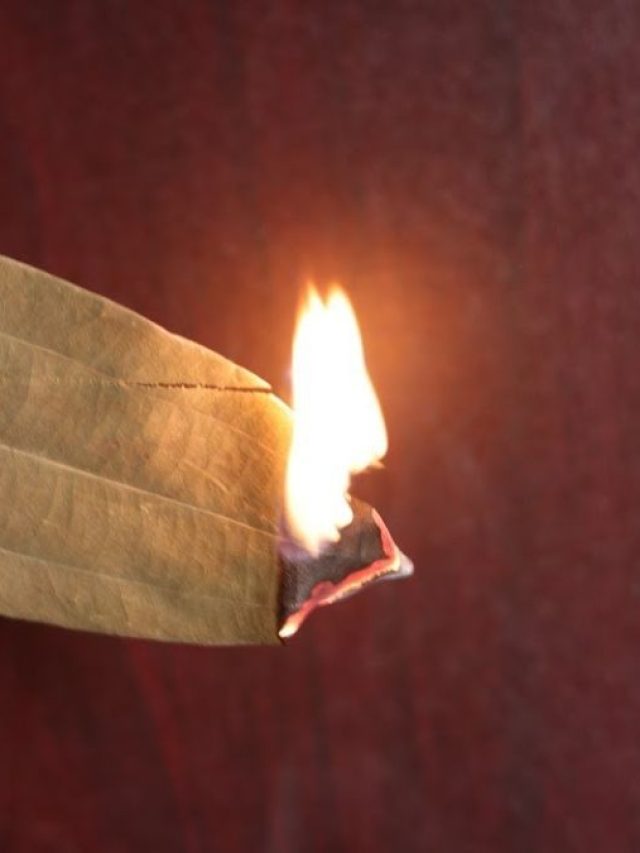 রোজ রাতে রান্নাঘরে পোড়ান ১টা তেজপাতা, তাতেই খেলা জমে যাবে