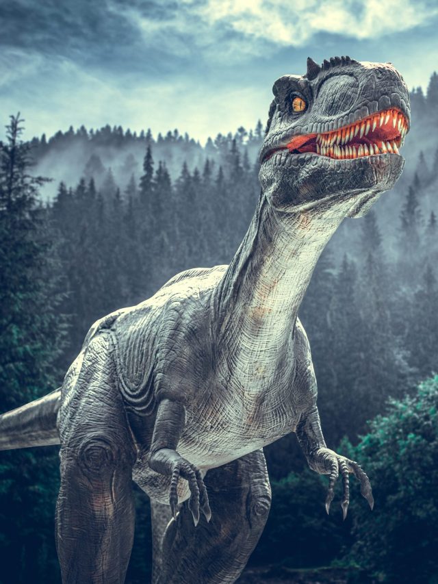 What exactly killed dinosaurs 66 million years ago? New study offers a clue to the mystery