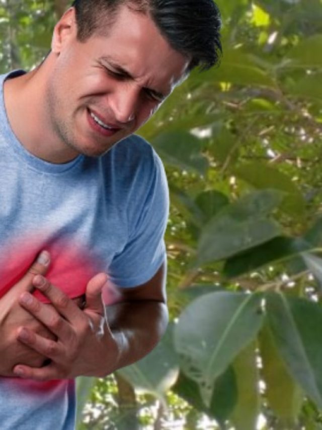 এই পাতাই খারাপ কোলেস্টেরলের রামবাণ, শিরায় জমে থাকা ময়লাও হবে ক্লিন