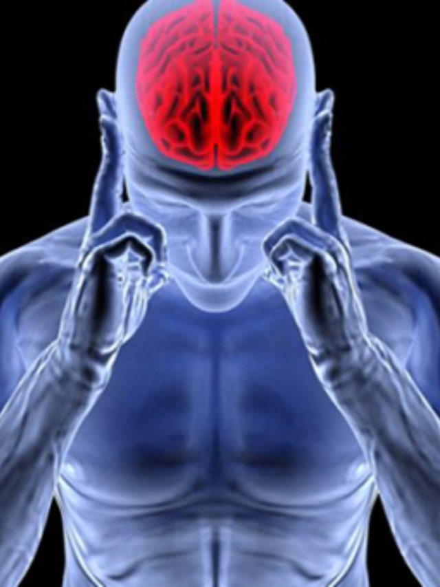 এই ভিটামিনের অভাবেই বাজে ব্রেনের ১২টা, নিয়মিত খাওয়া শুরু করুন ৪ খাবার