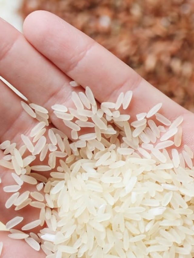 একমুঠো চালেই রাতারাতি বদলাবে কপাল, এই উপায়ে খুলবে অর্থ ভাগ্য