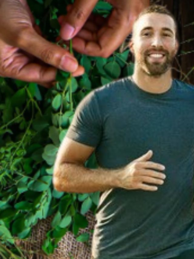 জাদুকরী গুণে ভরা, এই পাতা চিবিয়ে খেলেই ল্যাজ গুটিয়ে পালায় ৬ ভয়ঙ্কর রোগ