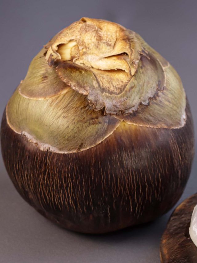 চোখে নেই, তবুও কেন তালের নামে তালকানা? অনেকেই জানেন না