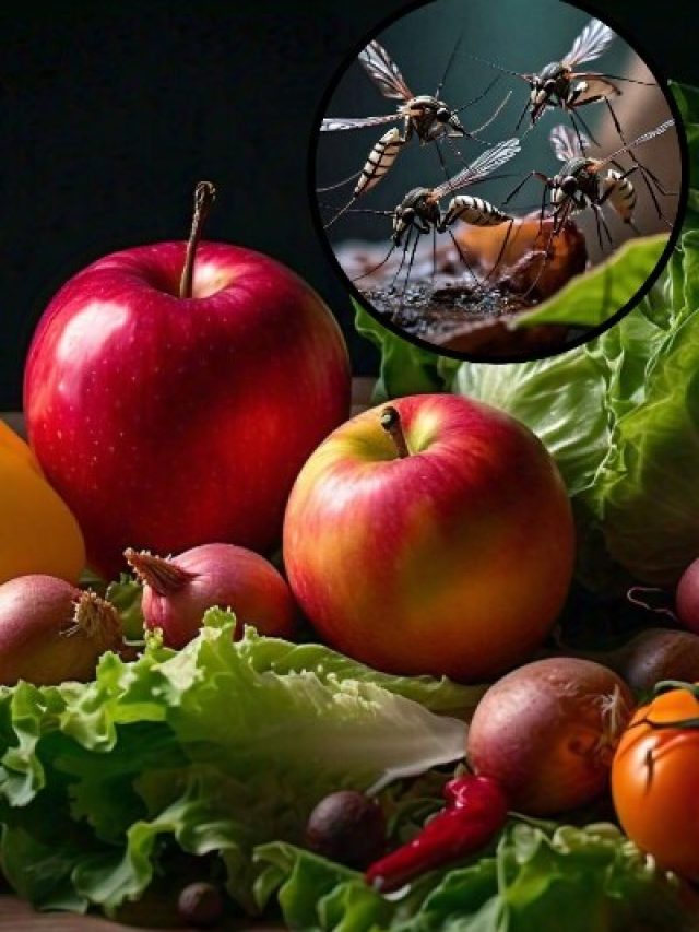 ये चीजें खाते ही कम होने लगेगा डेंगू का असर, तीसरा वाला जरूर खाएं