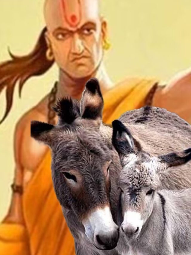 সাফল্য আসবেই, রপ্ত করুন গাধার এই ৩ গুণ