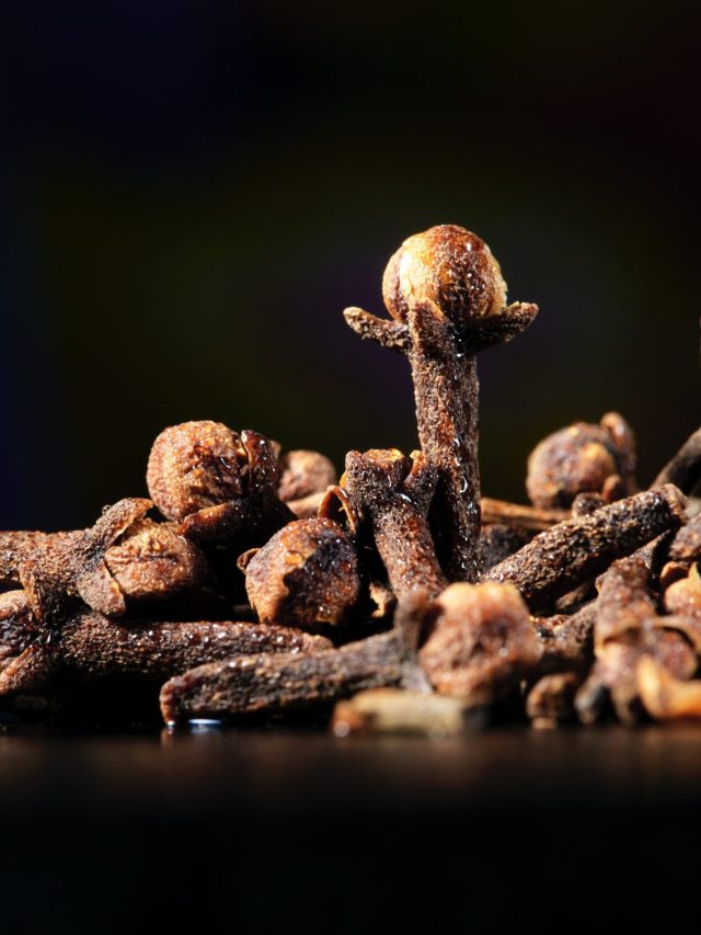 रोज सुबह खाली पेट पी लें लौंग का पानी, शरीर में दिखने लगेंगे ये बदलाव