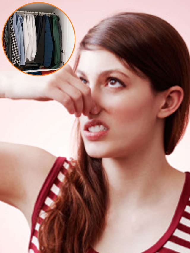 বর্ষায় আলমারির জামাকাপড়ে সোঁদা গন্ধ দূর হবে, এই 'সিক্রেট' জিনিস রেখে দিন