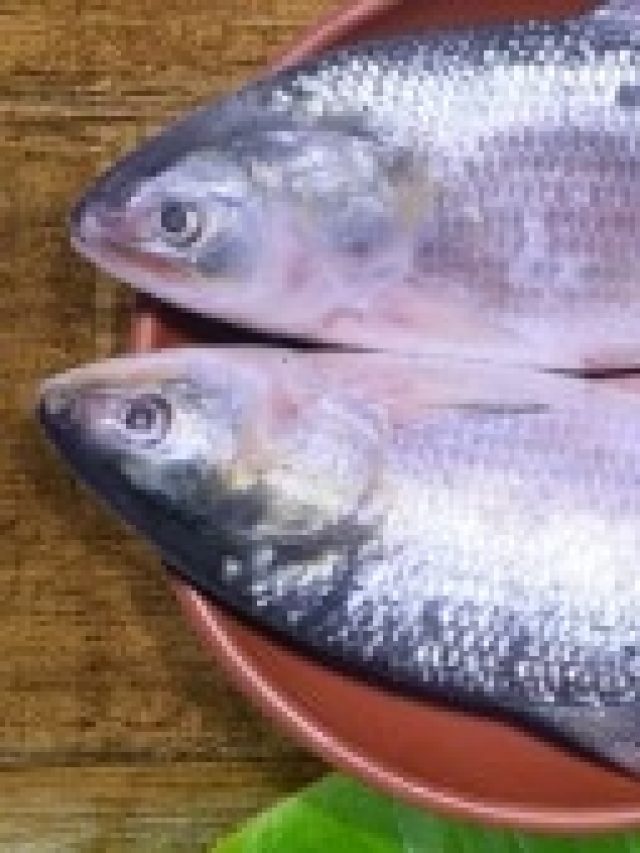 পদ্মার ইলিশ চিনুন রং দেখে, নিনজা টেকনিক জানলে ঠকবেন না