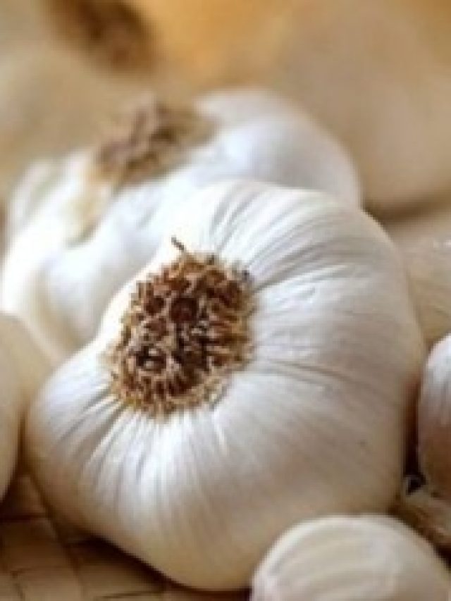 শুধু একটু রসুন লাগবে, তাতেই গজাবে কালো  কুচকুচে চুল