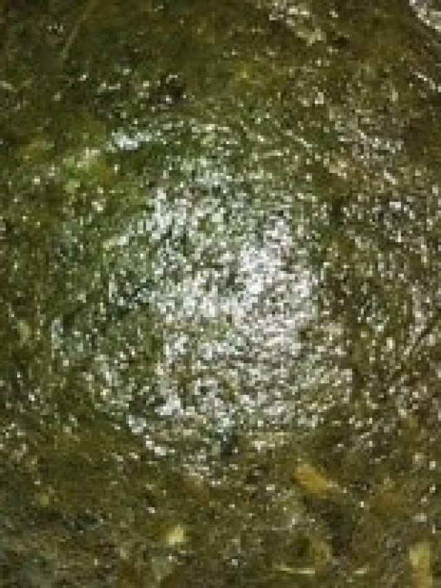 বুড়ো হলেও বাড়বে পুরুষত্ব, খেতে হবে সস্তার এই  শাক ভর্তা