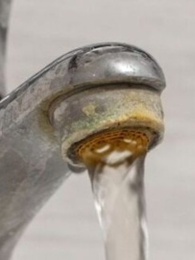 শুধু লাগবে দাঁতের মাজন, তাতেই মরচে পড়া বাথরুমের ট্যাপ চকচক করবে