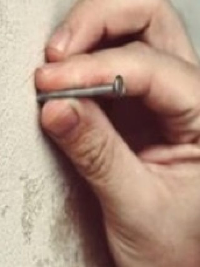 পেরেক লাগান ঘরের এই দেওয়ালে, টাকা আসতেই থাকবে