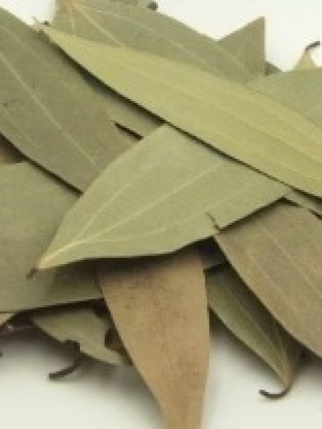 রোজ রাতে লাগবে শুধু তেজপাতা, খেলা শুরু হবে