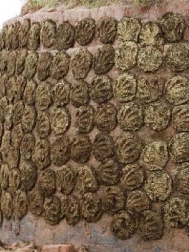 ঘুঁটেকে ইংরেজিতে কী বলে? বেশিরভাগ লোকই জানে না