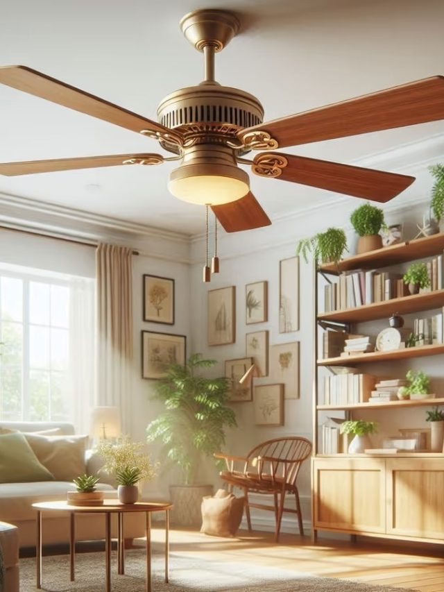 বিদ্যুৎ-ইনভার্টার ছাড়াই চলবে ফ্যান, সস্তায় কিনুন রিচার্জেবল ফ্যান