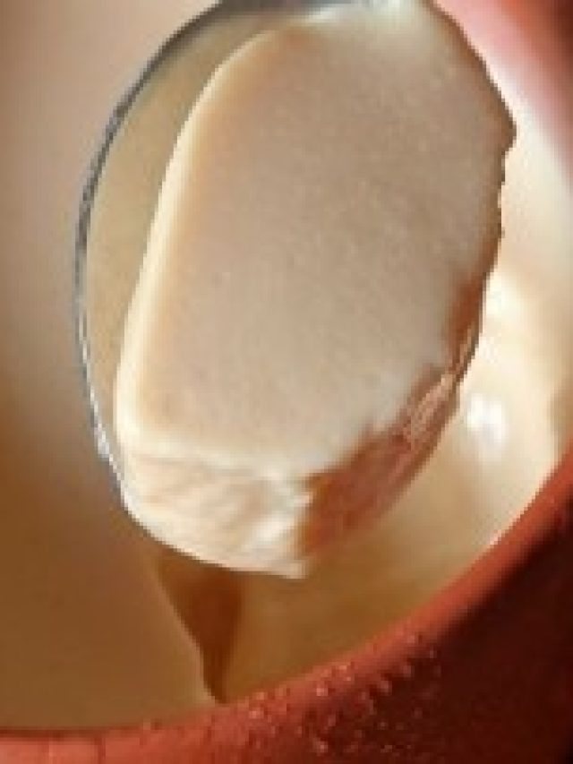 ঘরে তৈরি মিষ্টি দই হবে দোকানের মতো, লাগবে এই ৪ উপকরণ