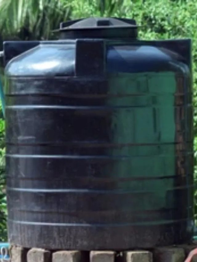 বর্ষায় জলের ট্যাঙ্কে আঁশটে গন্ধ? দূর হবে লেবুর টোটকায়