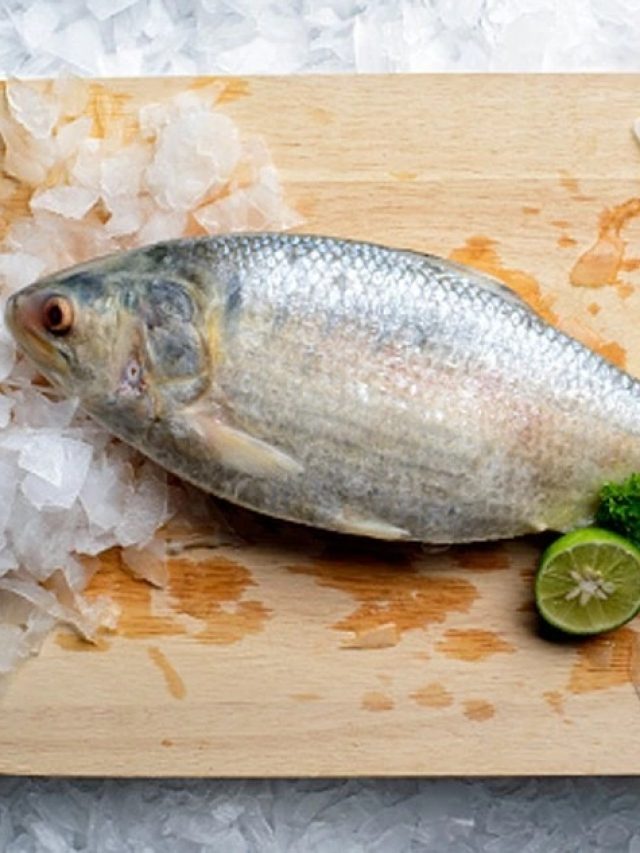 পেট ভর্তি ডিম গিজগিজ করছে, ইলিশ না ধরেই বলে দিন এই কায়দায়